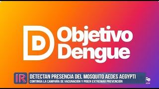 Objetivo Dengue detectan presencia del mosquito vector [upl. by Kirtley]