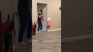 Funny dog finds pink and red balloons [upl. by Donatelli772]