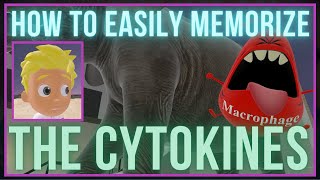 How to EASILY Memorize the Cytokines [upl. by Iggem]