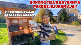 BELANJA DI KIOS KEJUJURAN BORONG TELUR AYAM KAMPUNG [upl. by Lamaaj]