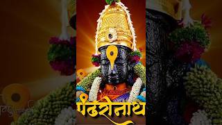 ekadashi vitthal pandurang kartikmaas mauli viralshort pandharpur viralshort [upl. by Gurney]