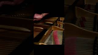 String Broke During Liszt Mazeppa live [upl. by Onairda]