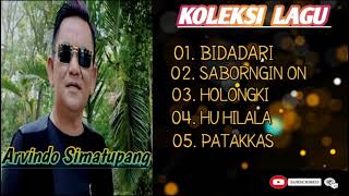 ARVINDO SIMATUPANG ALBUM LAGU BATAK TOP [upl. by Nero]