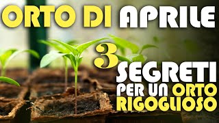 ORTO di APRILE  3 SEGRETI per un ORTO RIGOGLIOSO [upl. by Naryk]