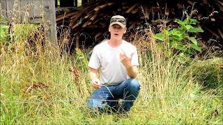 How to Easily Test if an Electric Fence is On [upl. by Leahcym]