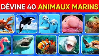 Devine 40 ANIMAUX Marins en 6 secondes Chrono  Quiz de Culture Générale  Buzz Quiz [upl. by Amuwkuhc]