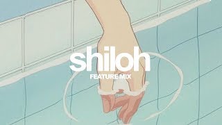 Shiloh Lofi Mix [upl. by Tteraj629]