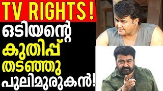 Mohanlal Movie Odiyan Got Only Less Satellite Rights [upl. by Anek975]