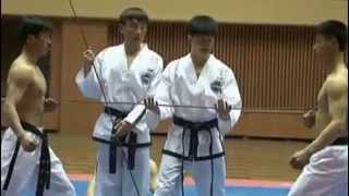 Niesamowity pokaz sztuki walki Taekwondo [upl. by Sheaff]