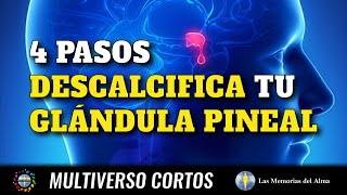 4️⃣ PASOS Para DESCALCIFICAR Tu GLÁNDULA PINEAL 🧠 ¡¡POTENCIA TUS CÉLULAS 🧫 [upl. by Nennerb]