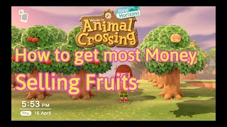 How to get most Money selling Fruits  Animal Crossing New Horizons Quick Guide 13 [upl. by Eiddam]