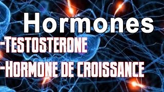 Bonne balance hormonale et Musculation 12 [upl. by Zielsdorf]