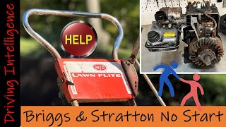 MTD Lawn Flite Edger No Start Airgap Industries Model UR671 Briggs amp Stratton Engine Governor [upl. by Nnairrehs]