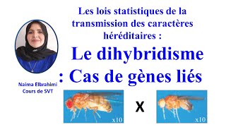 SVT Bac biof Correction national 2020 lois statistiques Dihybridisme gènes liés au sexe [upl. by Torey]