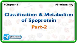 Chapter 6  Lipids  Classification amp Metabolism Of lipoprotein Part 6  Hindi [upl. by Faina]