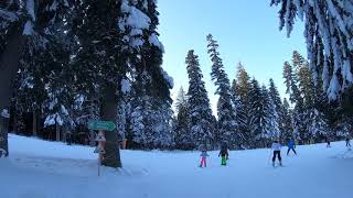 Borovets 2020 skiing [upl. by Oretos]