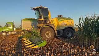 Orrson Custom Farming Corn Silage Harvest in North West Ohio [upl. by Arras513]