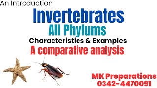 Introduction to All Invertebrate  Comparative Analysis of All Invertebrates Phyla  MDCAT Biology [upl. by Neitsirhc]