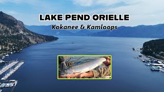 Lake Pend Oreille Kokanee and Kamloops [upl. by Aramois107]