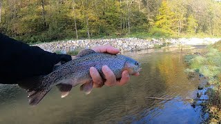 Paint Creek Iowa Driftless morning fishing [upl. by Kelcy]