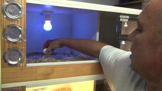 Incubating Python Eggs K Brothers Pythons ep 17 [upl. by Aronos]