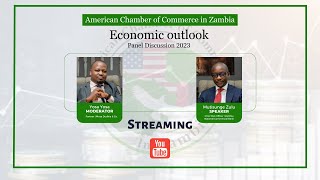 AmCham Economic outlook Panel Discussion 2023 [upl. by Wolfy585]