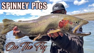 NONSTOP MONSTERS  Fly Fishing Colorados Spinney Mountain Reservoir for MASSIVE TROUT [upl. by Gnirol]