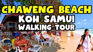 Chaweng Beach Koh Samui Thailand Full Walking Tour 2024 [upl. by Ahseya]