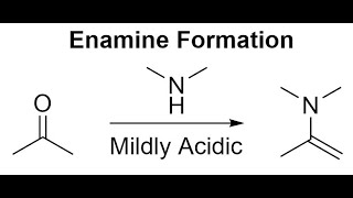 Enamine Formation Mechanism [upl. by Antrim190]