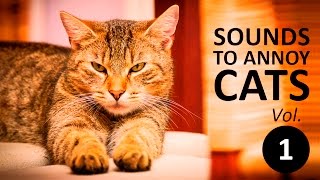 10 SOUNDS TO ANNOY CATS  Make your Cat Go Crazy HD Vol 1 [upl. by Menendez720]