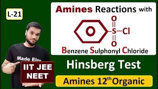 L21 Hinberg Reagent  Amines Reaction with Arylsulphonyl Chloride  Test of Amines  JEE NEET [upl. by Ytirehc27]