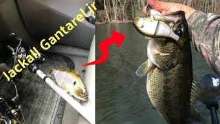 Jackall Gantarel JR Big prespawn bass [upl. by Normak]