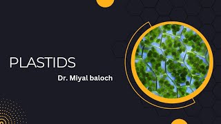 Plastids  FSC1  Dr Miyal Baloch [upl. by Ttevi875]