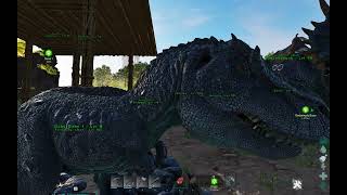 How To Hatch Tyrannosaurus Eggs In Ark Survival Ascended [upl. by Ecurb]