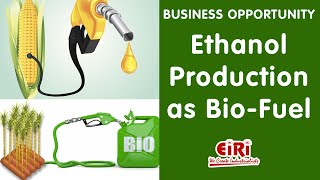 Ethanol Production as Bio Fuel  Project Report  Complete Process [upl. by Frieder]