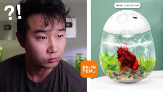 Fish Tanks are getting crazy  Fish Tank Review 235 [upl. by Ethelred]