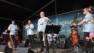 Dixieland Stage Orkest  Petite Fleur Domburg Jazz by the Sea 1692023 [upl. by Flanders959]