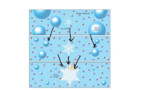 Bergeron processIce Crystal TheoryExplained [upl. by Abocaj472]