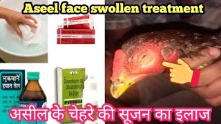 Aseel face swollen treatment with English subtitle  असील के चेहरे की सूजन का इलाज coryza in chicken [upl. by Salakcin]