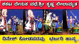 ಶ್ರೀ ಕೃಷ್ಣ ಲೀಲಾಮೃತದ ವಿಜಯನಾಗಿ ದಿನೇಶ್ ಕೋಡಪದವು ಭರ್ಜರಿ ಹಾಸ್ಯkannada Yakshagana comedy [upl. by Tadich]