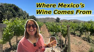 Top Things to do in Ensenada Baja California Mexico [upl. by Hessney]