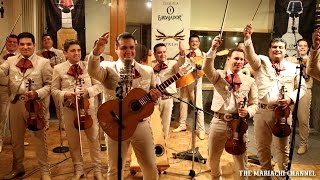 EL SIQUISIRI  MARIACHI NUEVO TECALITLAN  Video Oficial  Grabado en Vivo [upl. by Eiggep185]