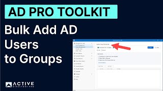 Bulk Add or Remove Users to AD Groups with AD Pro Toolkit [upl. by Bernetta]