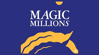 2024 Magic Millions Gold Coast National Yearling Sale Day 2 [upl. by Vipul]