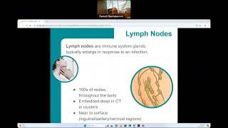 CG  BIO160  Lymphatic System [upl. by Adlanor541]