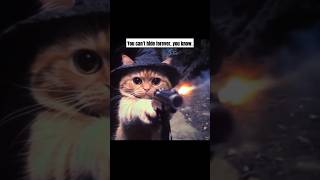 Pawlease No One Can Catch Me catfunny cat catstory catlover catvideos shorts [upl. by Cartwell]