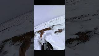 NextLevel Wolf Hunting The Shot of a Lifetime охота hunting chasse hunters волк падение [upl. by Anat]