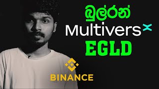 Multiversx EGLD Coin Research  binance sinhala [upl. by Eserrehs290]