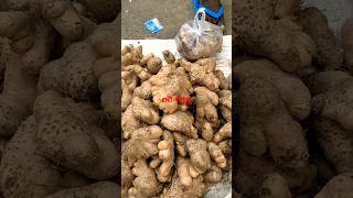 Potato🍠 essential for Chhath माईया Puja 🌺Fatok Bazar🌻 Silchar💐Shiv baba 🙏Please subscribe 🍇like [upl. by Dorej]