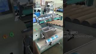 TB600 Hot Melt Glue Paper Tube Labeling Machine with Conveyor [upl. by Marelya]